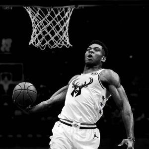 Meet your Posher, Alan